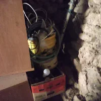 مقداری وسایل میو فروشی