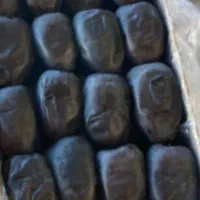 خرما دوردیفی