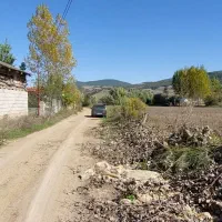 زمین 1500 متری در کیاسر کارخانه آرد|فروش زمین و ملک کلنگی|کیاسر, |دیوار