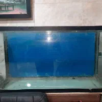 شیشه آکواریوم