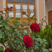 نیروی هتل سنتی