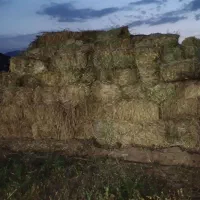 فروش یونجه پرس شده