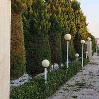 هرس کاری درختان سرو .لافسون .شمشاد باغ وویلا