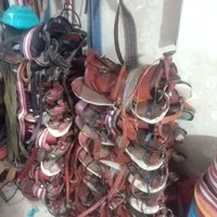 پالان، افسار و لوازم|اسب و تجهیزات اسب‌سواری|گرگان, |دیوار