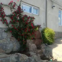 اجاره ویلا باغ استخر دار داخل شهر|اجارهٔ کوتاه‌مدت ویلا و باغ|سنندج, |دیوار