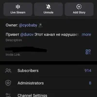 کانال تلگرامی 900 ممبر|لوازم جانبی موبایل و تبلت|گناباد, |دیوار