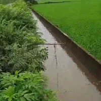 زمین کشاورزی رشت