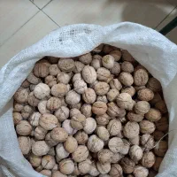 گردو|خوردنی و آشامیدنی|خرم‌آباد, |دیوار