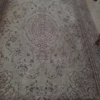 فرش|فرش|لاهیجان, کوی زمانی|دیوار