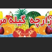 نیروی کار خانوم