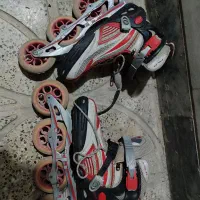 اسکیت حرفه ای