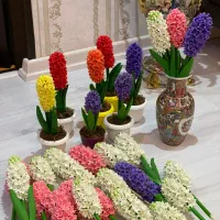 تولید و فروش عمده و تکی انواع سنبل