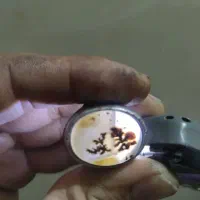انگشتر شجر قاعن