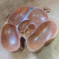 انواع ظروف چوب