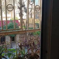 اجاره-طبقه-اول-ویلای21