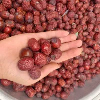 عناب خشک و نیمه خشک‌