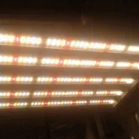 لامپ رشد grow light) king led)|لامپ و چراغ|فولادشهر, فولادشهر|دیوار