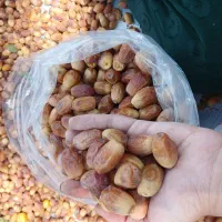 فروش خرمای عمده قصرشیرین