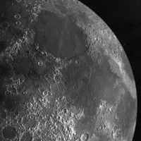 رحم جایگزین
