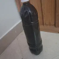 شیره انگور تاکستان خاصیت درمانی