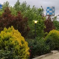 پخش درخت ودرختچه زینتی