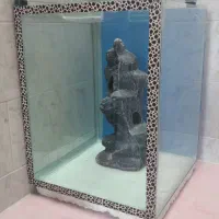 آکواریوم با وسایل