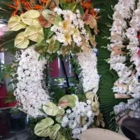 تاج گل ترحیم وافتتاحیه از ۱۴۰۰۰۰۰الی...|گل و گیاه طبیعی|اسلامشهر, شهرک مفیدی|دیوار