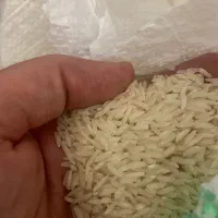 برنج هاشمی درجه یک