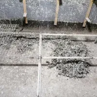 کود کبوتر.کود حیوانی.باغبانی