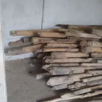 تیر سفید دار فروشی