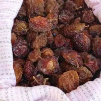 آلو خشک خانگی ارگانیک سالم تمیز و بهداشتی|خوردنی و آشامیدنی|کرج, شهرک یاس جنوبی|دیوار