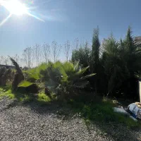 200متر زمین بافت*اقساطی*