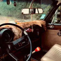 دولوکس ۵۷|خودرو کلاسیک|کوچصفهان, |دیوار