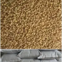 فروش بذریونجه بوجاری