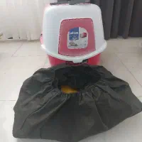 ظرف خاک گربه
