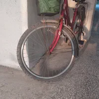 فروش دوچرخه  قناری|دوچرخه، اسکیت، اسکوتر|بندر انزلی, کلیور|دیوار