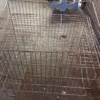 مانکن|فروشگاه و مغازه|تبریز, |دیوار