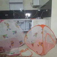 پشه بند