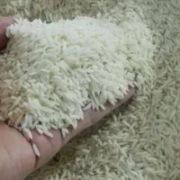 برنج محلی بروجرد و دورود ب شرط پخت با کبفیت