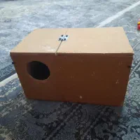 لونه پرنده