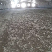 کود مرغی کود گوسفندی کود گاوی|خدمات باغبانی و درختکاری|ماهدشت, |دیوار