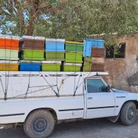 باربری نیسان تهران آمل نکا