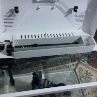 اکواریم|ماهی|ارومیه, |دیوار