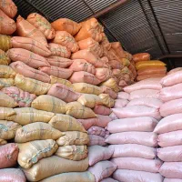 کاه گندم خوشه