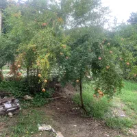 زمین با کاربری تمام مسکونی با بنای قدیمی|فروش زمین و ملک کلنگی|دالخانی, |دیوار