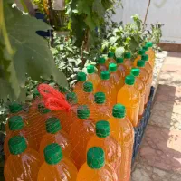 آبغوره عسگری طبیعی و ارگانیک تاکستان ارسال کل کشور