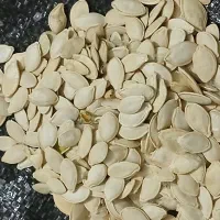 فروش‌تخمه‌کدو