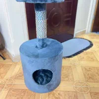 وسایل گربه یاسگ