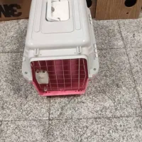 باکس پت