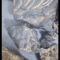 شهاب سنگ|کلکسیون اشیاء عتیقه|باغ بهادران, |دیوار